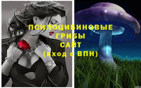 СК Саяногорск