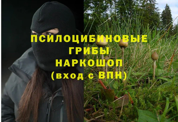 марки nbome Рославль