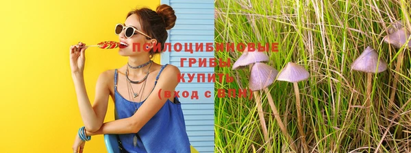 соль ск Абдулино