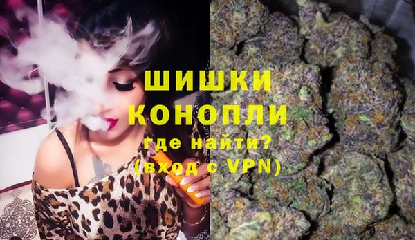 стаф Видное