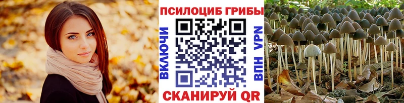 что такое   Духовщина  Галлюциногенные грибы Cubensis 